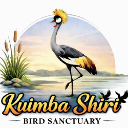 Kuimba Shiri Bird Sanctuary